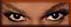 Eyes.jpg (3506 bytes)
